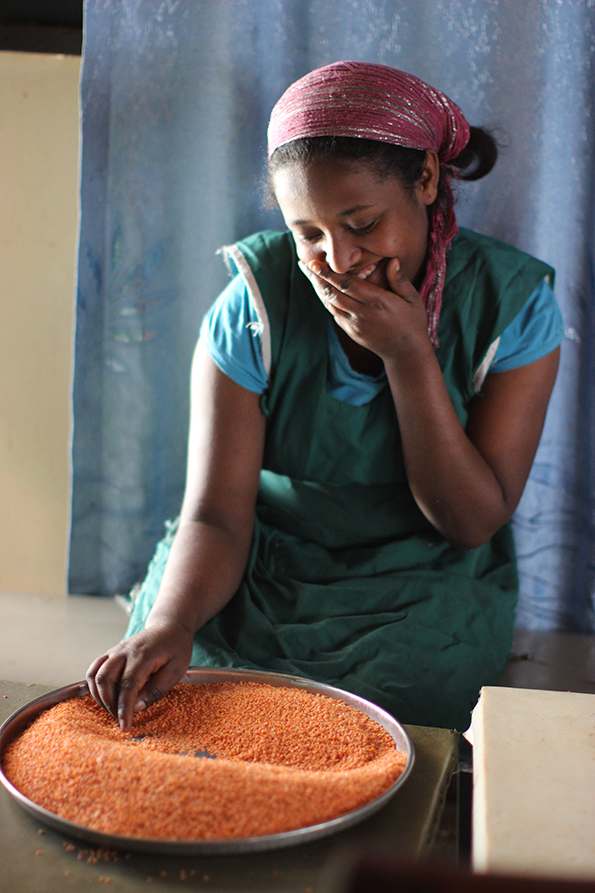 Sorting Lentils (Photo courtesy of AddisEats)